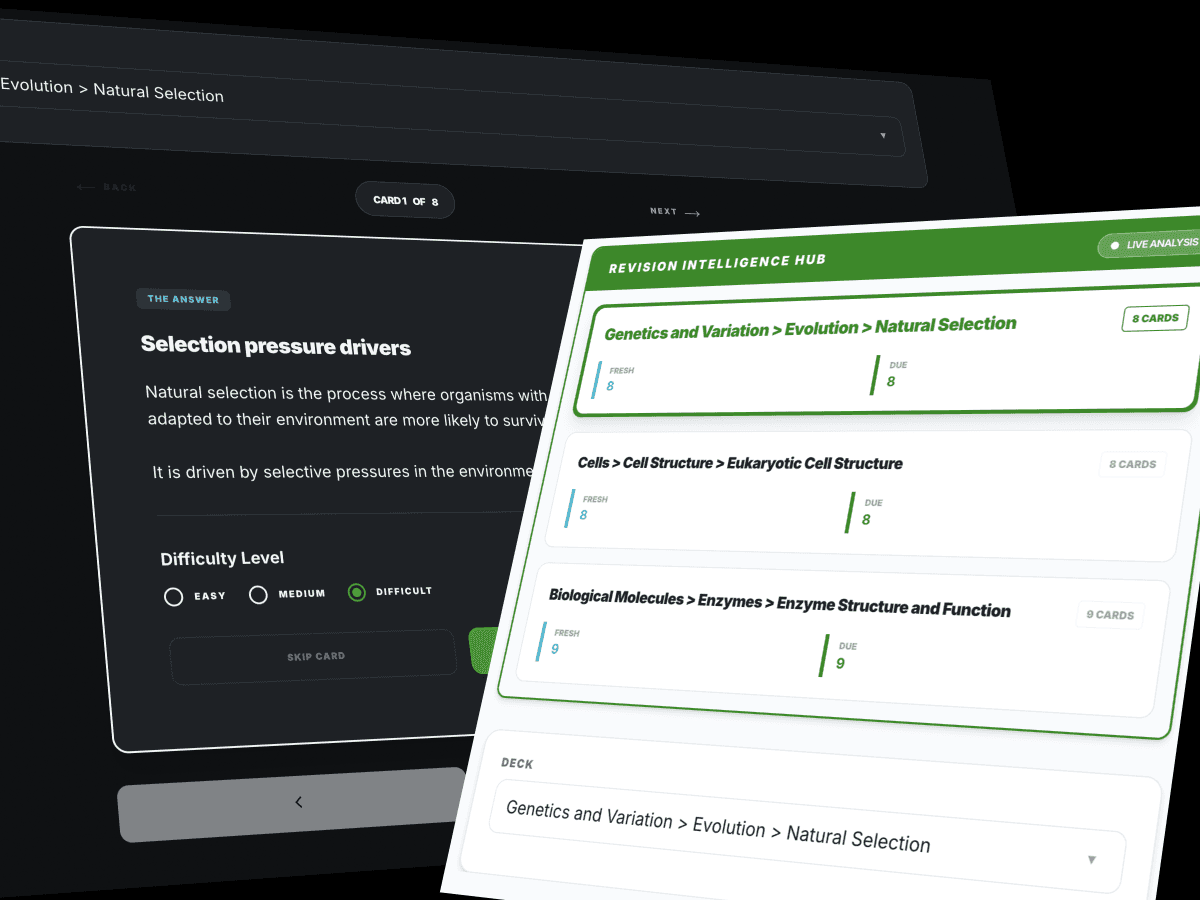 A personalised learning path with lessons in order